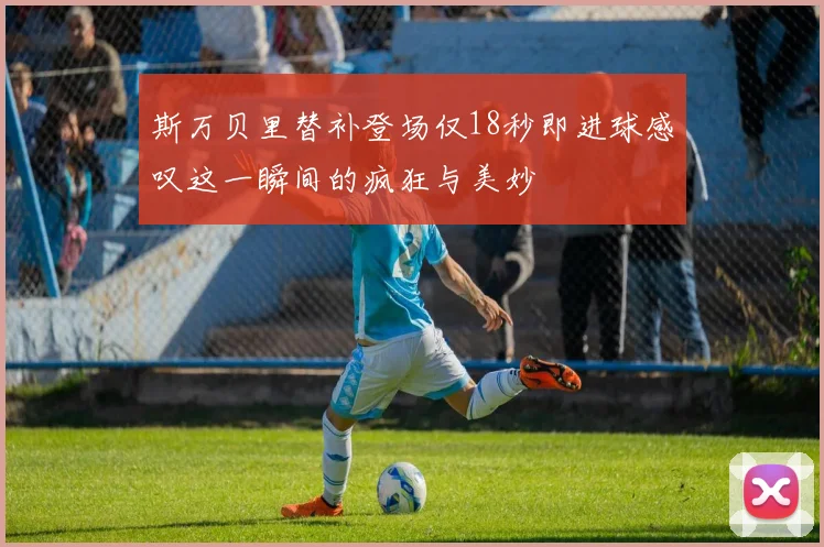 斯万贝里替补登场仅18秒即进球感叹这一瞬间的疯狂与美妙