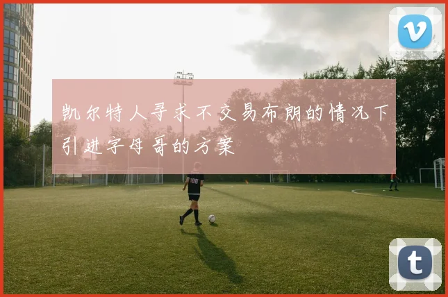 凯尔特人寻求不交易布朗的情况下引进字母哥的方案